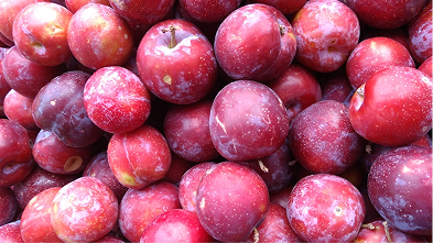 Jamun Honey: Ayurveda's Morning Companion