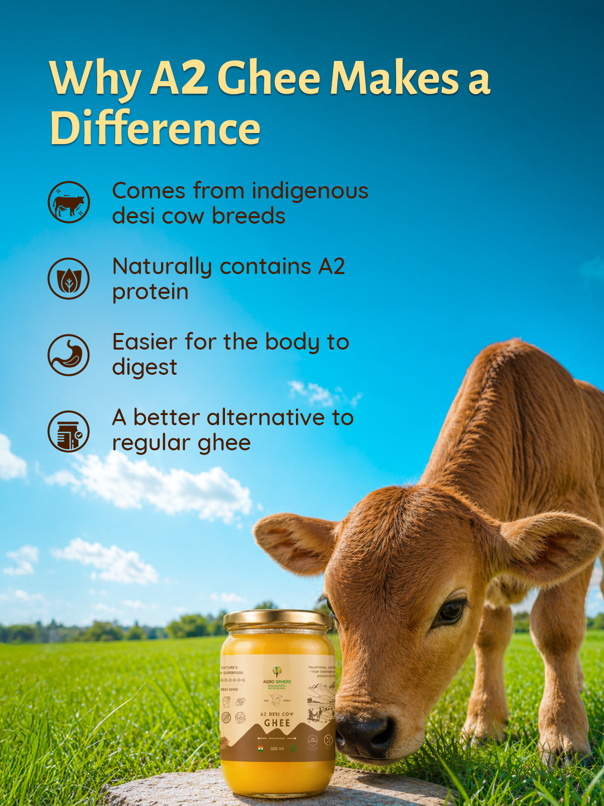 A2 Desi Cow Ghee