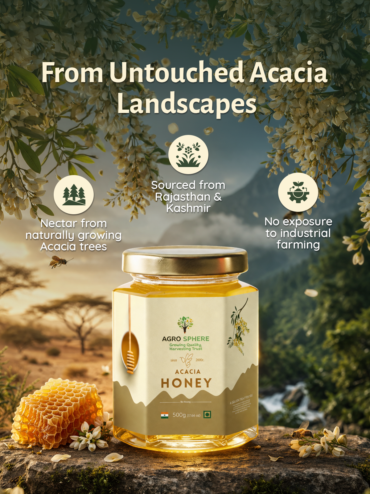 Acacia Honey