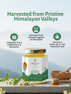 Himalayan Honey