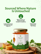 Wild Forrest Honey